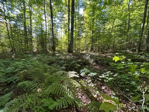 40 Acres Cp, Shingleton, MI 49884 photo 6