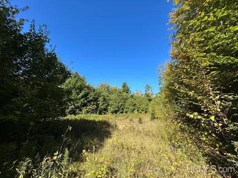 40 Acres Cp, Shingleton, MI 49884 photo 3