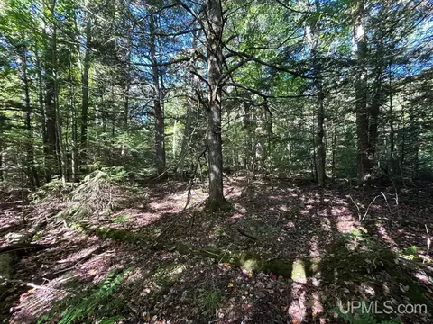 40 Acres Cp, Shingleton, MI 49884 photo 13
