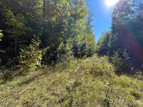 40 Acres Cp, Shingleton, MI 49884 photo 17