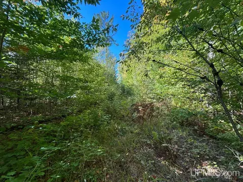 40 Acres Cp, Shingleton, MI 49884 photo 15
