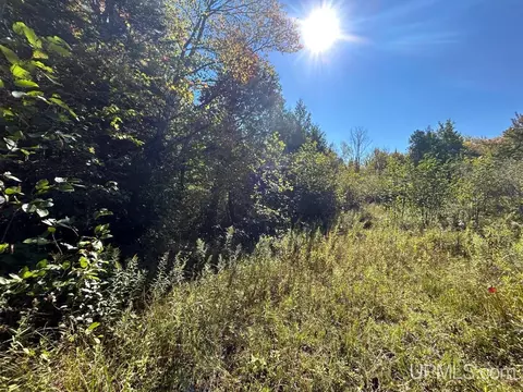 40 Acres Cp, Shingleton, MI 49884 photo 18