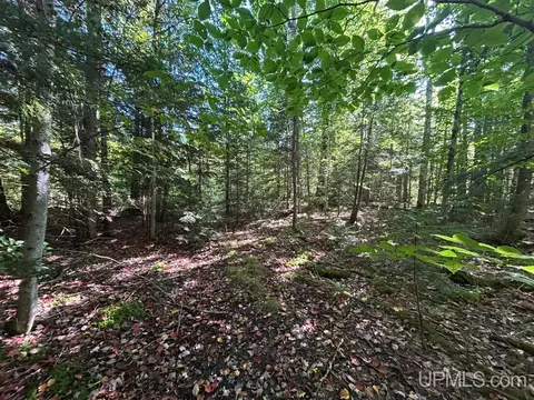 40 Acres Cp, Shingleton, MI 49884 photo 14