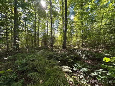 40 Acres Cp, Shingleton, MI 49884 photo 10