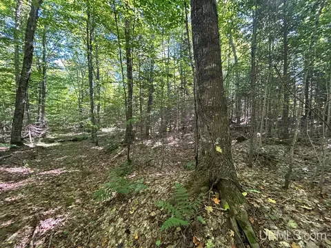 40 Acres Cp, Shingleton, MI 49884 photo 5
