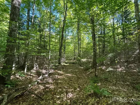 40 Acres Cp, Shingleton, MI 49884 photo 7