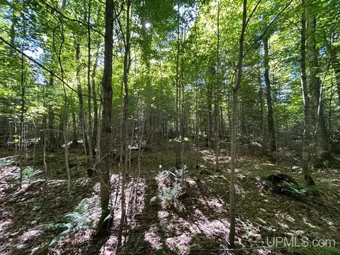 40 Acres Cp, Shingleton, MI 49884 photo 9