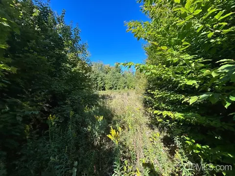 40 Acres Cp, Shingleton, MI 49884 photo 16
