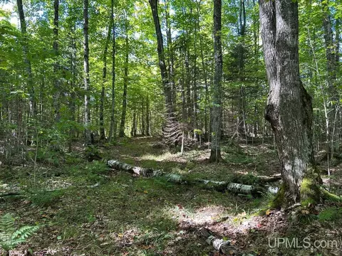 40 Acres Cp, Shingleton, MI 49884 photo 11