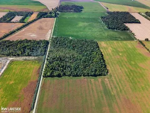 00 Eddy, Carsonville, MI 48419 photo 23