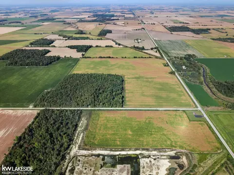 00 Eddy, Carsonville, MI 48419 photo 16