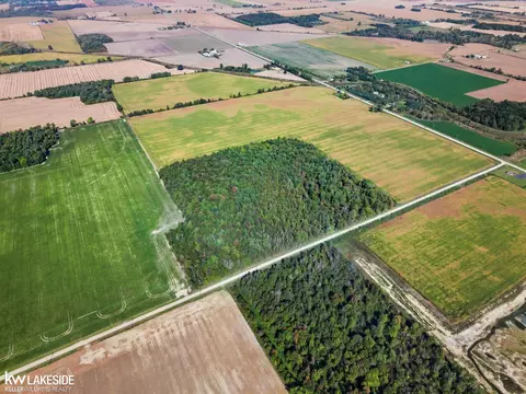 00 Eddy, Carsonville, MI 48419 photo 4