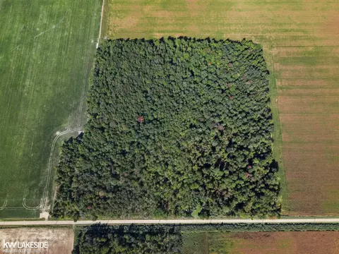 00 Eddy, Carsonville, MI 48419 photo 11