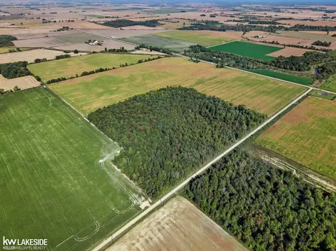 00 Eddy, Carsonville, MI 48419 photo 18
