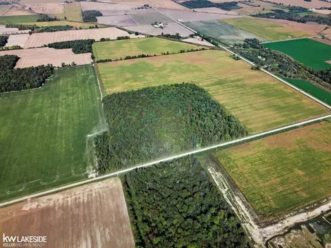 00 Eddy, Carsonville, MI 48419 photo 5