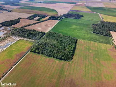00 Eddy, Carsonville, MI 48419 photo 34