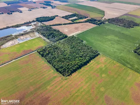 00 Eddy, Carsonville, MI 48419 photo 39