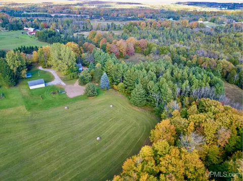 3193 Old M94, Chatham, MI 49816