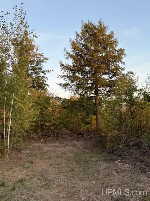 tbd C Nelson, Skanee, MI 49962 photo 14