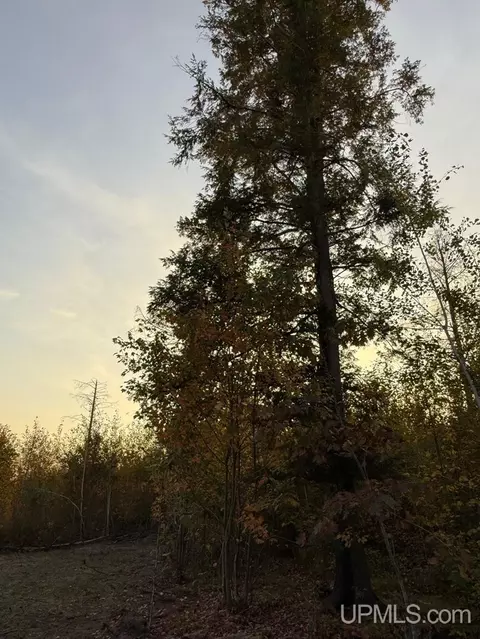 tbd C Nelson, Skanee, MI 49962 photo 11