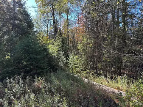 tbd Holmes, Vulcan, MI 49892 photo 4