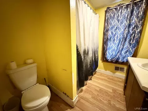 329 Maple, Amasa, MI 49903 photo 14