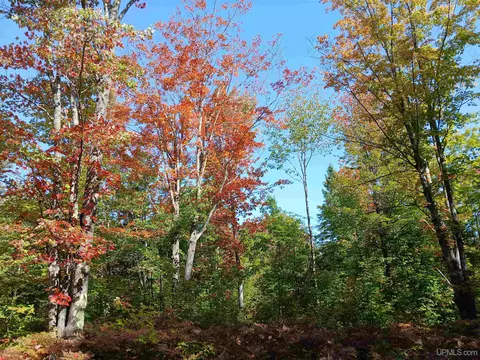 tbd Baltic Onkalos Cor, South Range, MI 49963