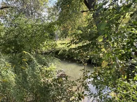 View/Area - 9013 S Shepherd, Shepherd, MI 48883 photo 1 of 1