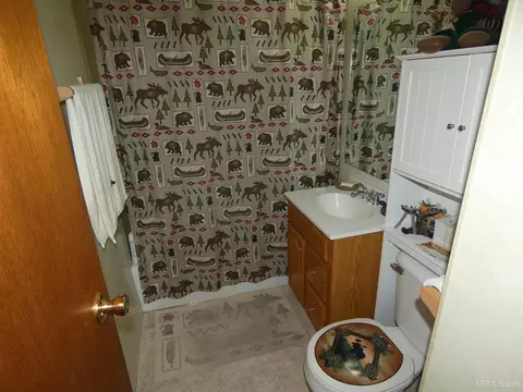 13 Oak, White Pine, MI 49971 photo 18