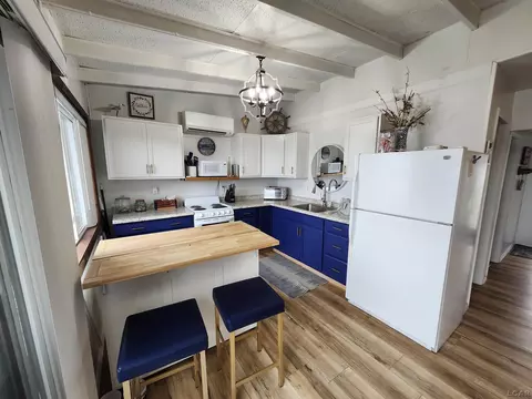 Kitchen - 271 E Rose Lk, Coldwater, MI 49036 photo 5 of 5