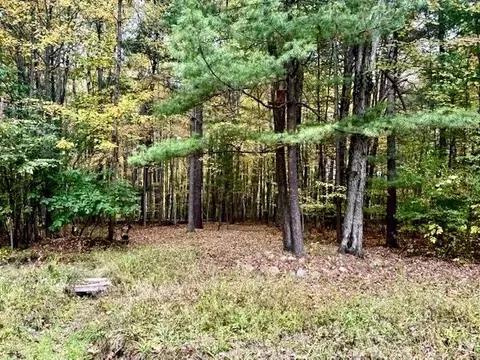 5485 Flock, Beaverton, MI 48612
