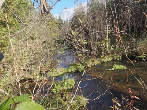 View/Area - 28545 M-28, Eckerman, MI 49728 photo 1 of 2