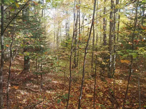 Exterior - 28545 M-28, Eckerman, MI 49728 photo 21 of 28