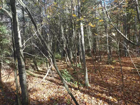 Exterior - 28545 M-28, Eckerman, MI 49728 photo 17 of 28