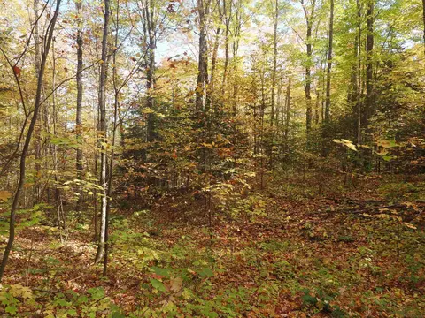 Exterior - 28545 M-28, Eckerman, MI 49728 photo 23 of 28