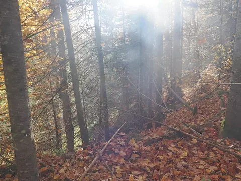 Other - 28545 M-28, Eckerman, MI 49728 photo 7 of 13