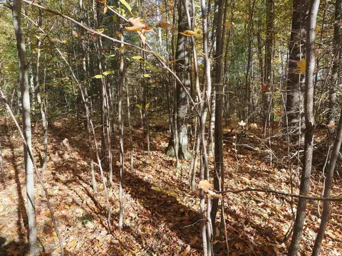 Exterior - 28545 M-28, Eckerman, MI 49728 photo 11 of 28
