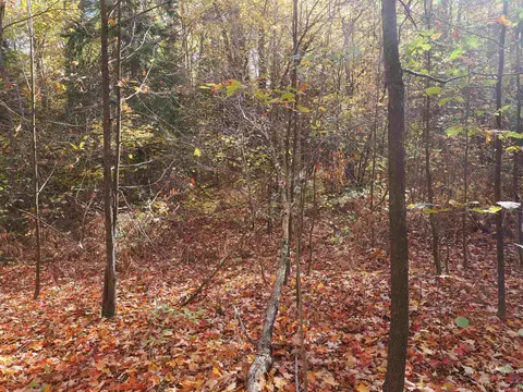Exterior - 28545 M-28, Eckerman, MI 49728 photo 20 of 28