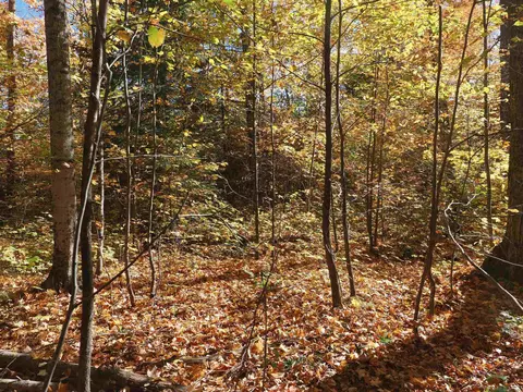 Exterior - 28545 M-28, Eckerman, MI 49728 photo 12 of 28