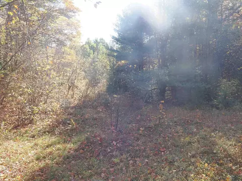Exterior - 28545 M-28, Eckerman, MI 49728 photo 3 of 28