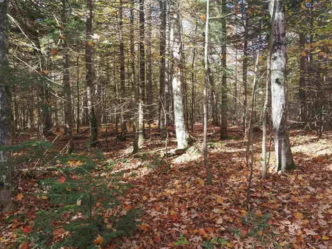 Exterior - 28545 M-28, Eckerman, MI 49728 photo 13 of 28