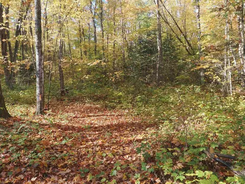 Exterior - 28545 M-28, Eckerman, MI 49728 photo 6 of 28
