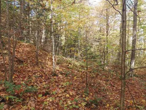 Exterior - 28545 M-28, Eckerman, MI 49728 photo 24 of 28