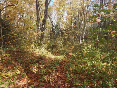 Exterior - 28545 M-28, Eckerman, MI 49728 photo 9 of 28