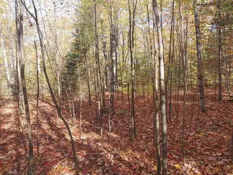 Exterior - 28545 M-28, Eckerman, MI 49728 photo 14 of 28