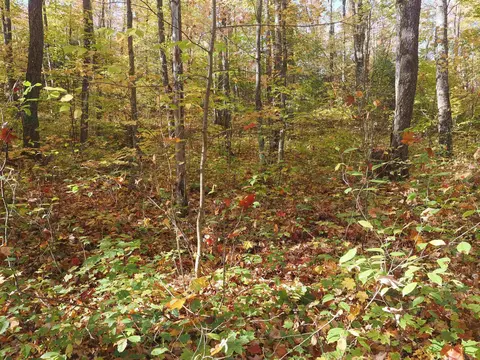 Exterior - 28545 M-28, Eckerman, MI 49728 photo 8 of 28