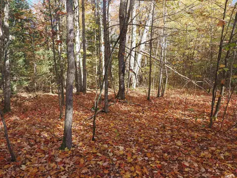 Exterior - 28545 M-28, Eckerman, MI 49728 photo 19 of 28