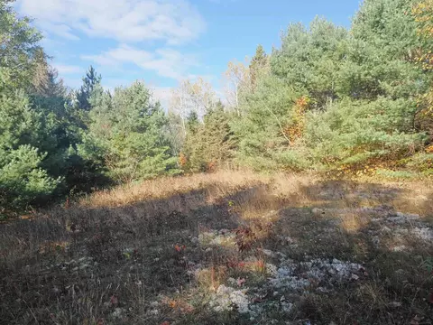 Exterior - 28545 M-28, Eckerman, MI 49728 photo 16 of 28