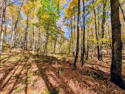 20 Acres Don S, Iron River, MI 49935