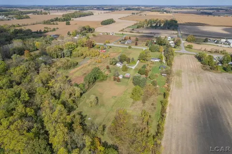 View/Area - 7957 E Monroe, Tecumseh, MI 49286 photo 8 of 15